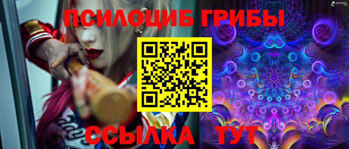 Галлюциногенные грибы MAGIC MUSHROOMS Аргун