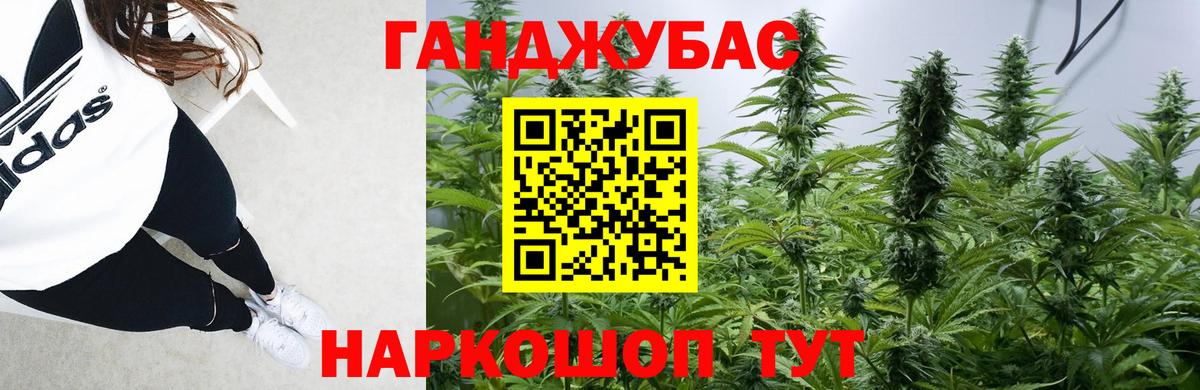 Канабис OG Kush Аргун